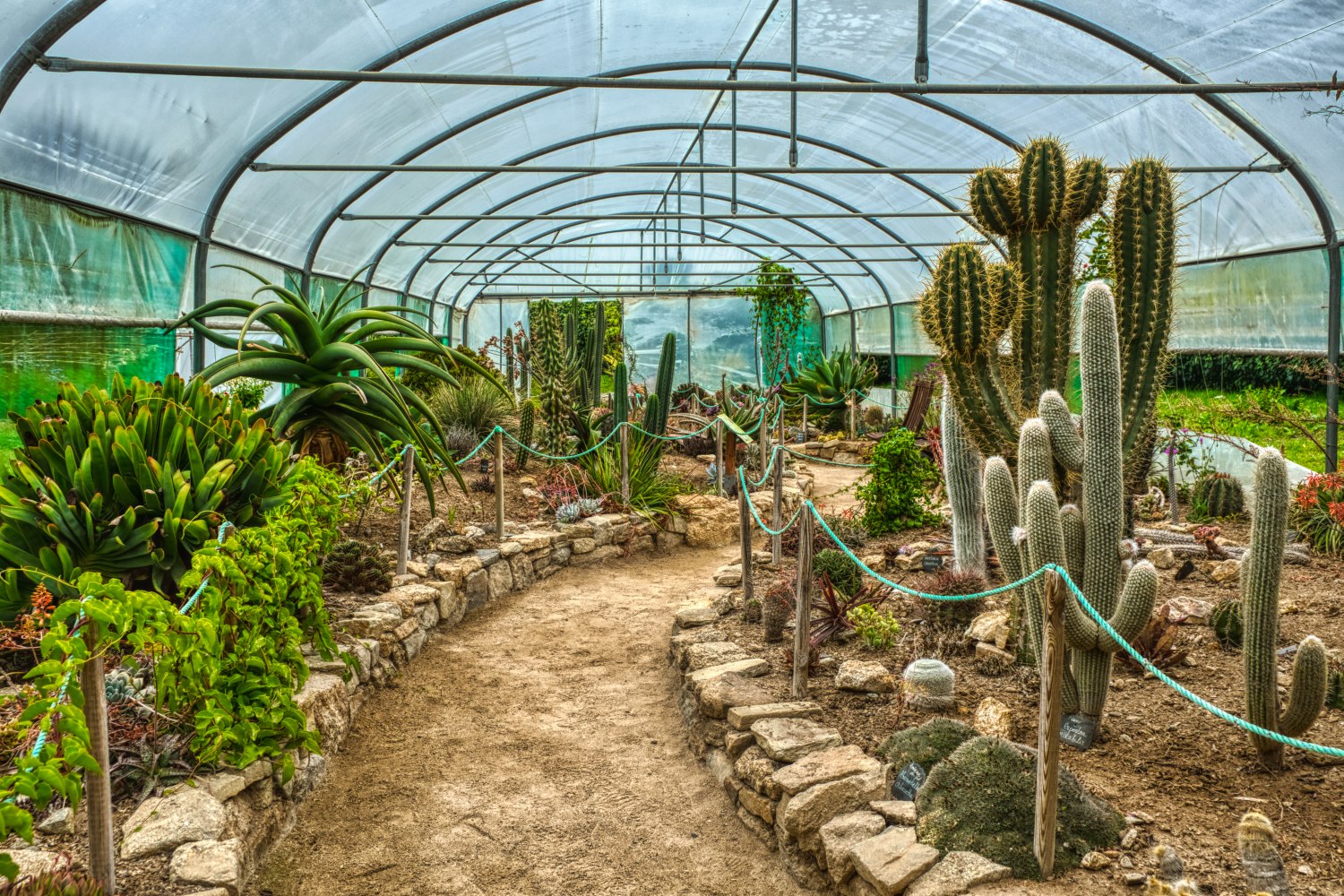Cactus pavilion in the botanical garden of Roscoff
