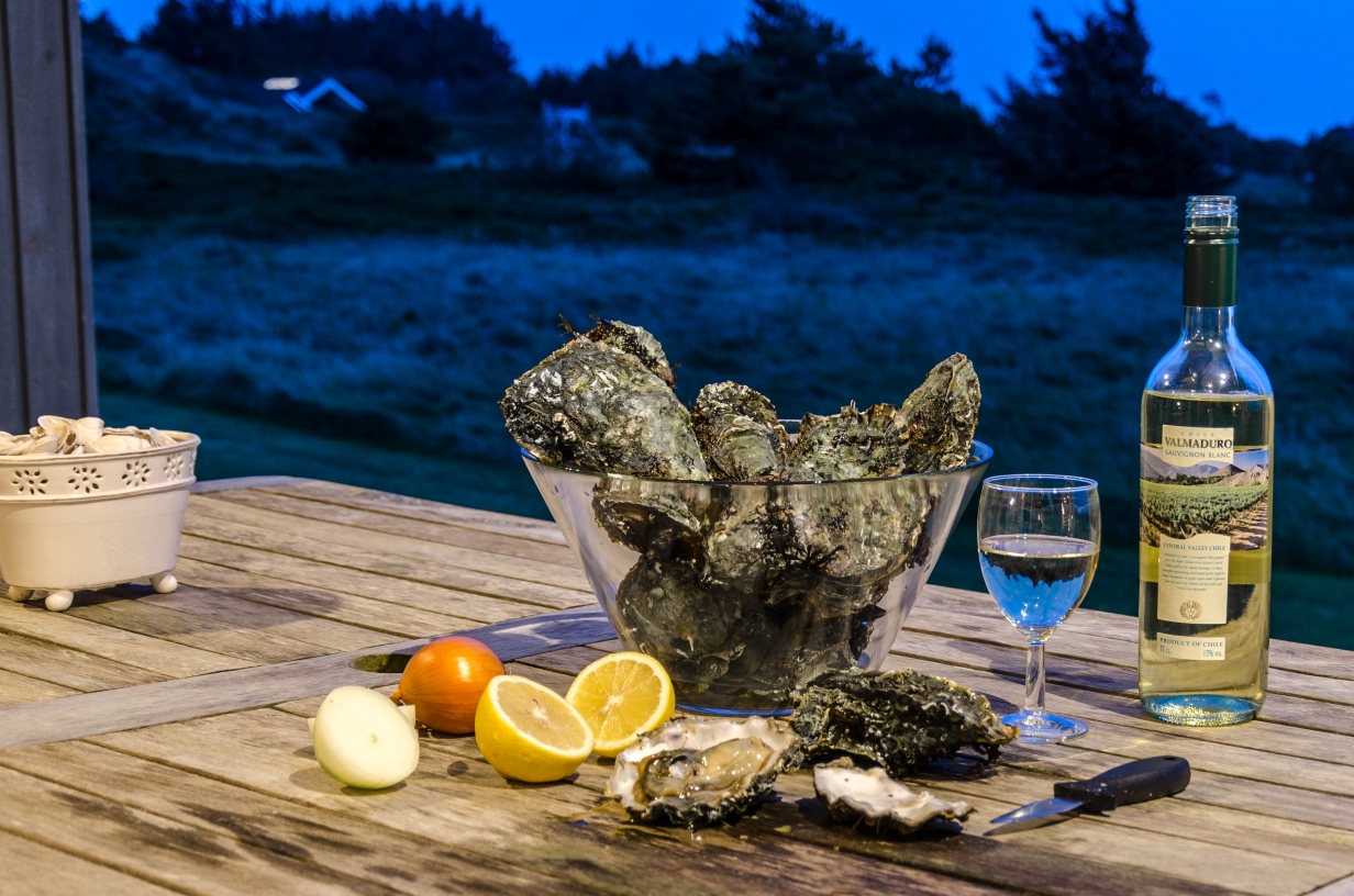 Frische, selbstgefangene Austern aus Lemvig