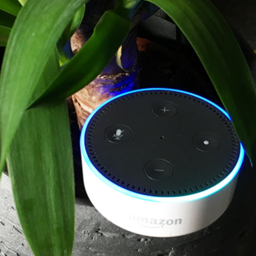 Homematic über ioBroker mit Amazon Alexa und Echo-Geräten steuern