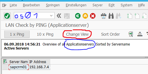 SAP: Determining the Host Name and IP Address of an SAP Server Using a Transaction