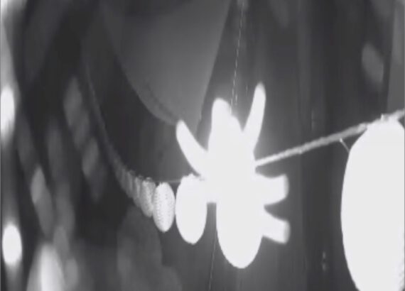 A spider is sitting on a CCTV cam, visibility is limited.