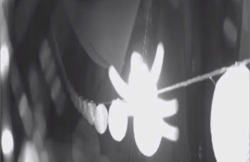 Keep spiders and spiderwebs away from surveillance cameras