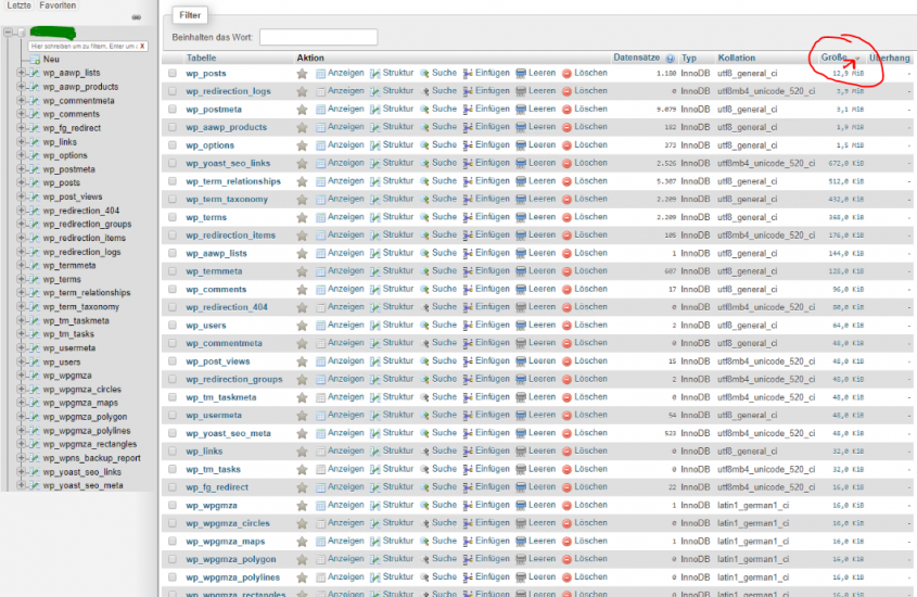 Wordpress Database Very Large Table Wp Options Huge Pixelfriedhof