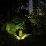 Im Wald bei Dunkelheit fotografierte Szene, beleuchtet mit der Sofirn SP33 V 3.0