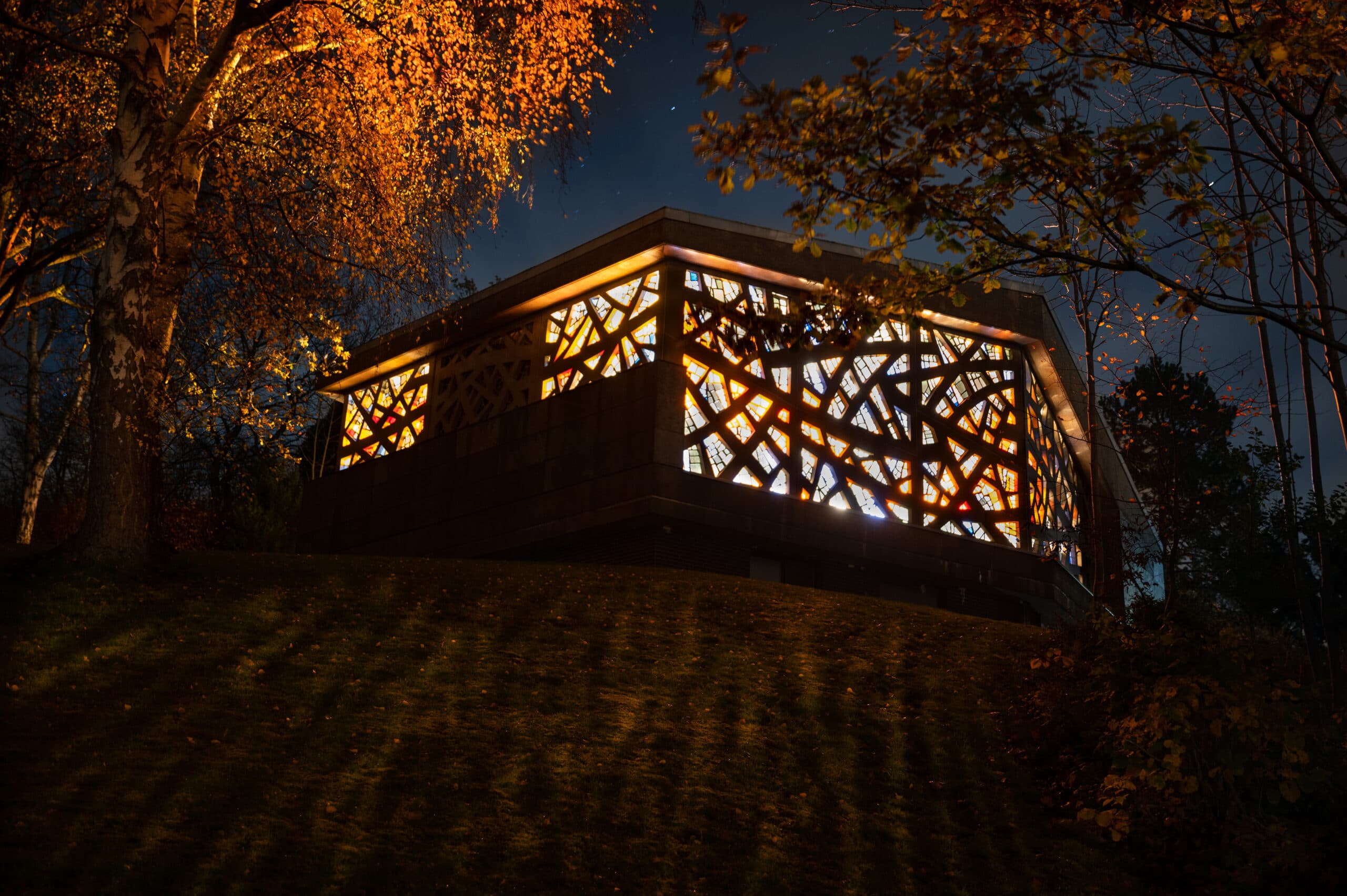 The golden leaves of the birches shine against the background of the blue night sky.