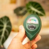 Soil tester for metering moisture in houseplants