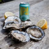 Oyster Hunting in Ho Bugt near Esbjerg and Blåvand – a unique experience in the Wadden Sea
