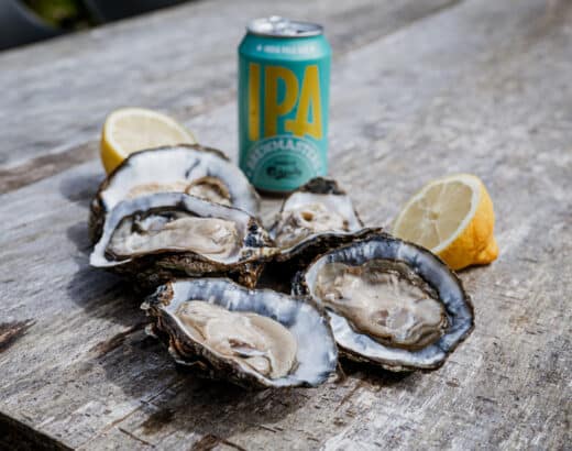Oysters caught in Blaavand in Ho Bay.
